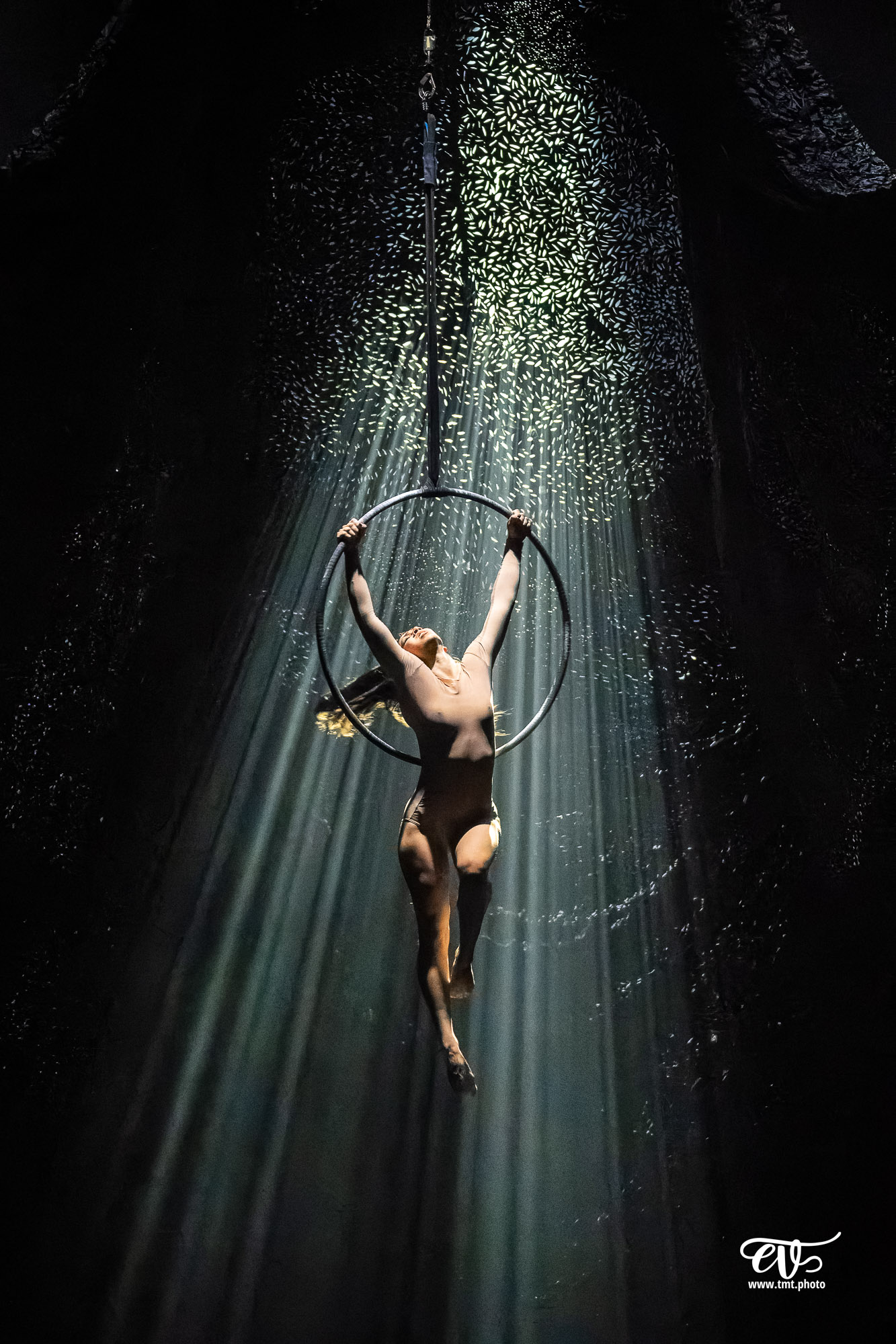 PARADISUM (CIE RECIRQUEL)